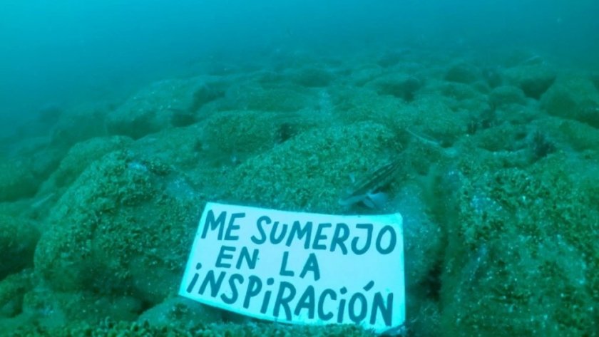 Un mar de cambios, la propuesta que une la ciencia y el arte urbano para concientizar sobre la importancia de los océanos