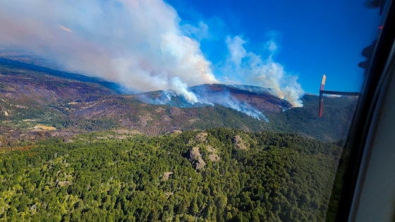 Los incendios en Río Negro: un desafío desde el cielo