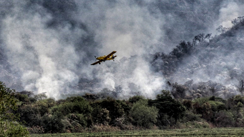 Evalúan el daño en la flora y la fauna tras los incendios