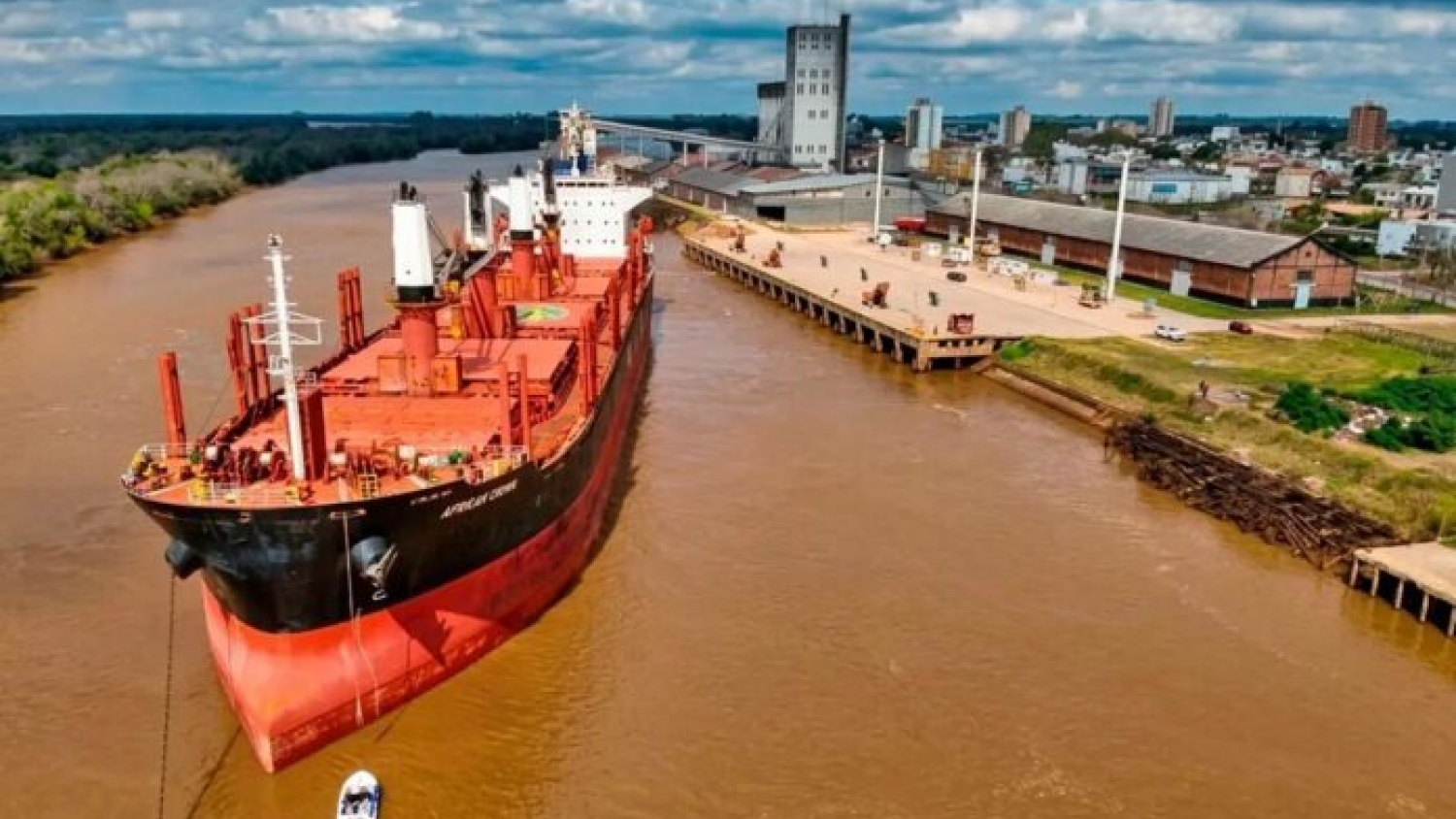 Exportación forestal: embarcarán 30.000 toneladas de pino y eucalipto con destino a India