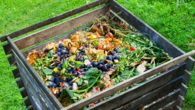 El 100 por ciento de los vecinos del municipio de Herrera adhiere al programa de Orgánico Cero y opta por el compostado