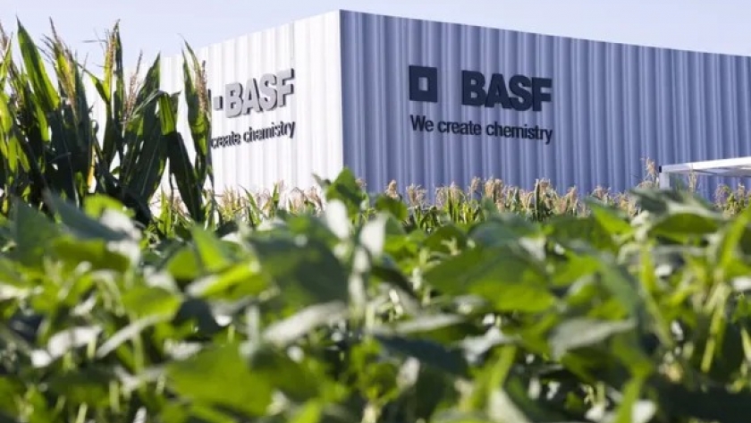 La digitalización de la distribución de insumos del agro: la visión de un gigante del mercado