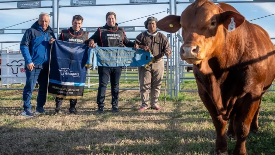 Brangus reforzó su apuesta por la cadena de la carne con una muestra que integró genética, industria y comercialización
