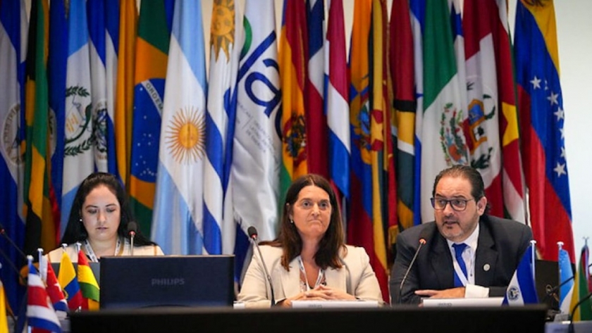 Argentina presente en la VIII Semana de la Energía de OLADE