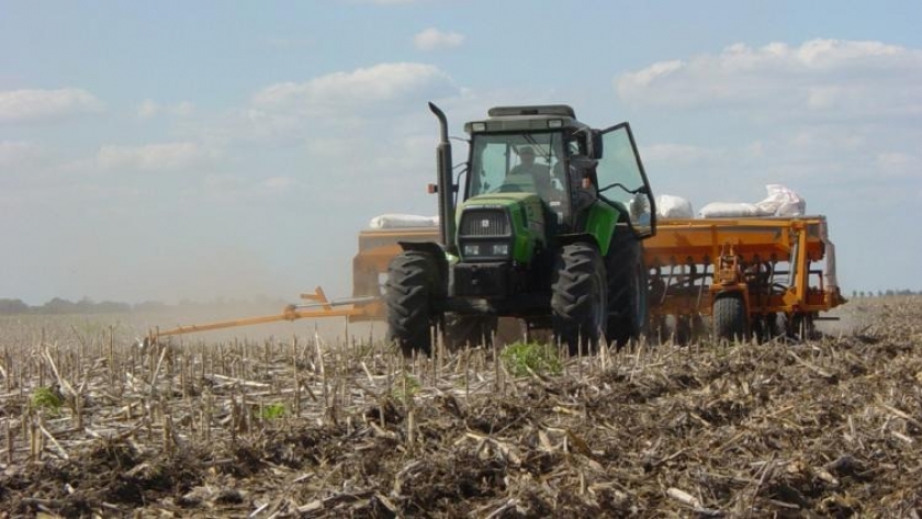 Lluvias mejoran perspectivas para siembra de trigo, pero demora recolección de soja y maíz