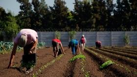 Basterra: Hemos recuperado la visión estratégica de la Agricultura Familiar, Campesina e Indígena