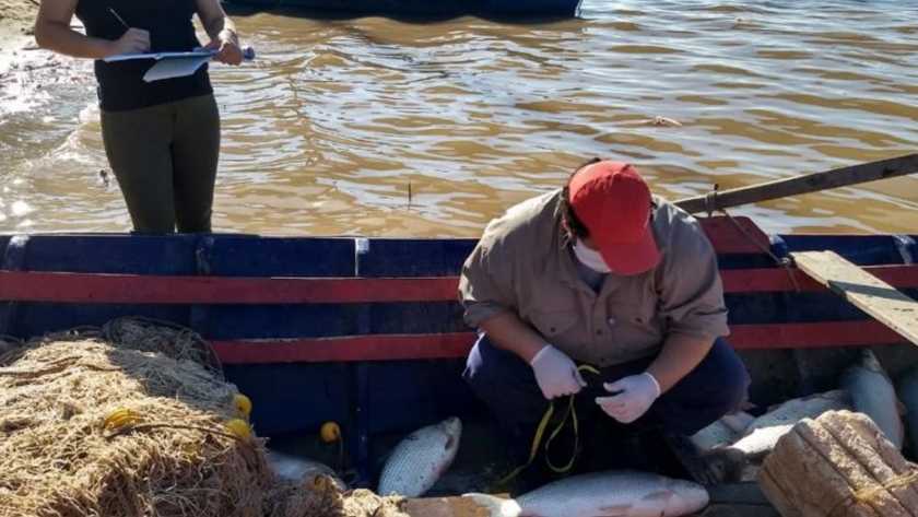 Flexibilización de pesca comercial: el gobierno fiscalizará el cumplimiento de la norma