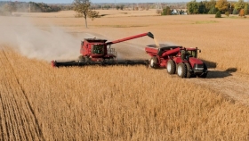 Ucrania: la producción de trigo podría caer un 40% para la temporada 2022-23