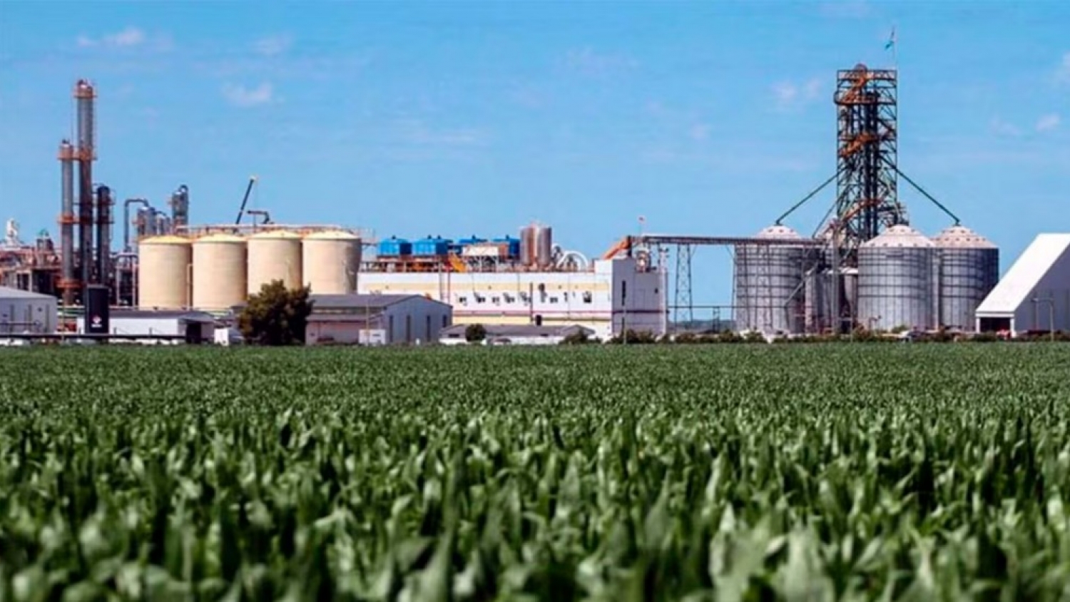 Biocombustibles: el campo presiona por una nueva ley para destrabar inversiones y ampliar el mercado