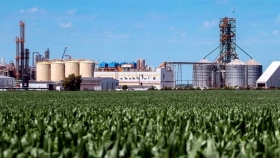 Biocombustibles: el campo presiona por una nueva ley para destrabar inversiones y ampliar el mercado