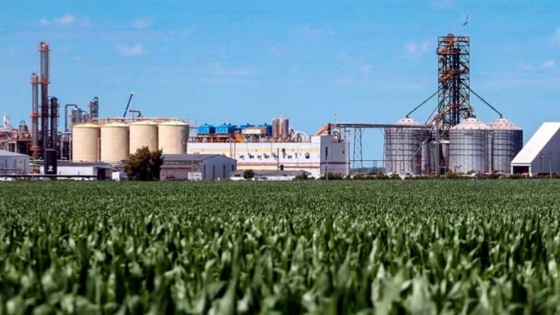 Biocombustibles: el campo presiona por una nueva ley para destrabar inversiones y ampliar el mercado