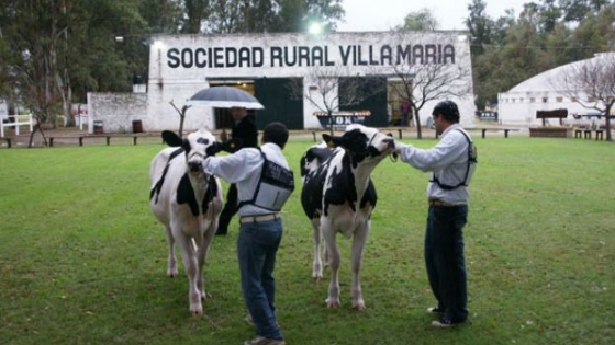 Las principales cabañas lecheras participarán de la Expo Feria 2024 de Villa María