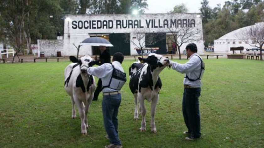 Las principales cabañas lecheras participarán de la Expo Feria 2024 de Villa María