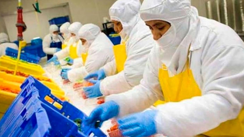 Inocuidad y seguridad alimentaria los pilares de una producción sustentable