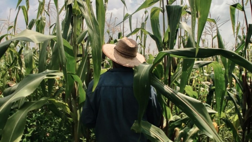 Organización sin fines de lucro evalúa el compromiso y desempeño de empresas alimentarias y agrícolas con el desarrollo sostenible.