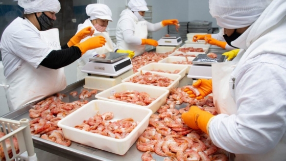 Cabo Vírgenes expande su negocio pesquero con la compra de Sea Fresh y fortalece su presencia en Chubut
