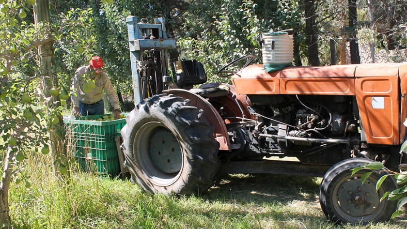 Se acordó la recepción e inicio de labores de trabajadores frutícolas en la provincia