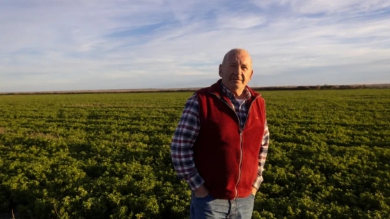De un campo abandonado a producir carne y cultivos en Patagonia