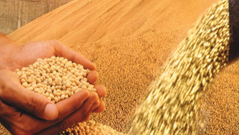 China compra 664.000 toneladas de soja estadounidense, el mayor total diario en dos meses