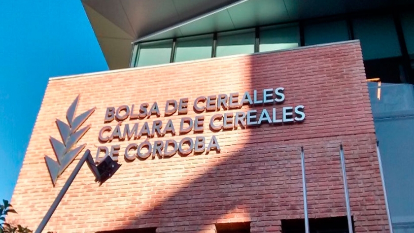 Córdoba: Con más del 90% de los cultivos invernales implantados, comienza el desarrollo con escasas reservas hídricas