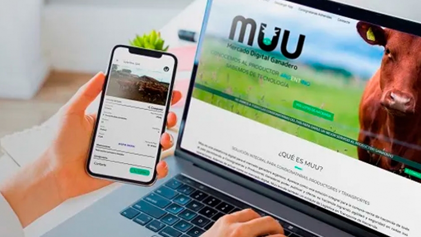 MUU, la primera app que reúne a todas las consignatarias de hacienda en un solo lugar