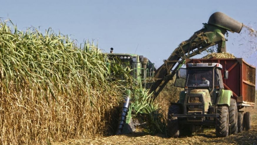 Finalizó la zafra azucarera con un aumento en la producción