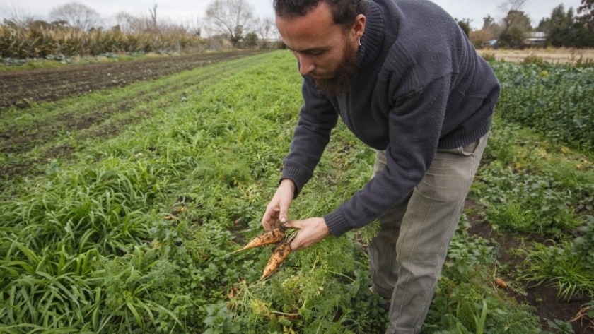 Asociación civil 1610, propuesta colectiva de pequeños productores agroecológicos