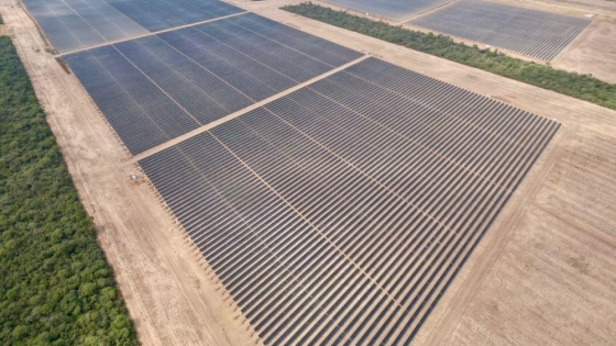 Pampa del Infierno fortalece su perfil productivo con energía solar y exportación de carne caprina