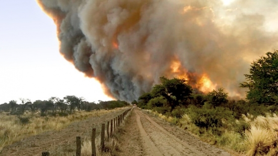 En base a información satelital, revelan el poder destructivo de los incendios en La Pampa