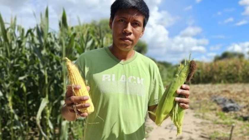 Más de mil emprendimientos recibieron asistencia de la Delegación de Asuntos Indígenas
