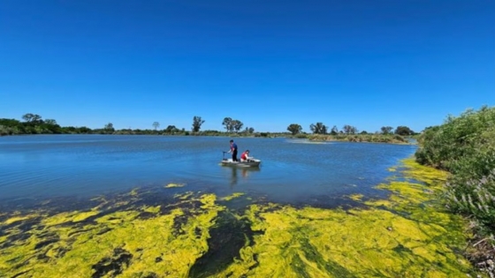 Cavas inundadas en Buenos Aires: científicos evalúan su potencial para acuicultura y desarrollo sostenible