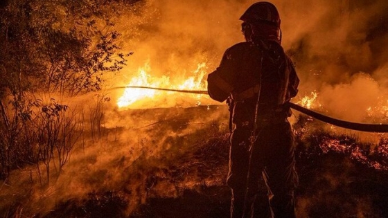Informe del PNUMA advierte que los gobiernos aún no están preparados para los incendios: “Deberán adoptar una nueva fórmula de preparación e inversión”