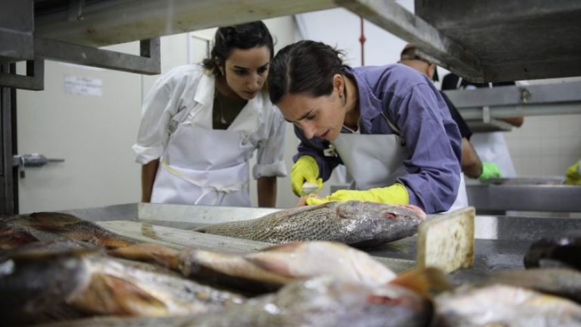 El INIDEP capacitó a biólogos de la Dirección de Pesca de la provincia de Buenos Aires