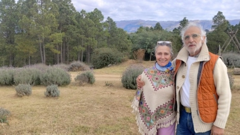 Amor por la lavanda: Aníbal Carlini y Veronica Hussing construyeron su propio paraíso serrano, implantaron allí ese particular cultivo y ofrecen una recorrida diferente en el Valle de Calamuchita