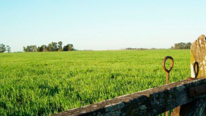 Productores aseguran que la intensificación es la clave del éxito