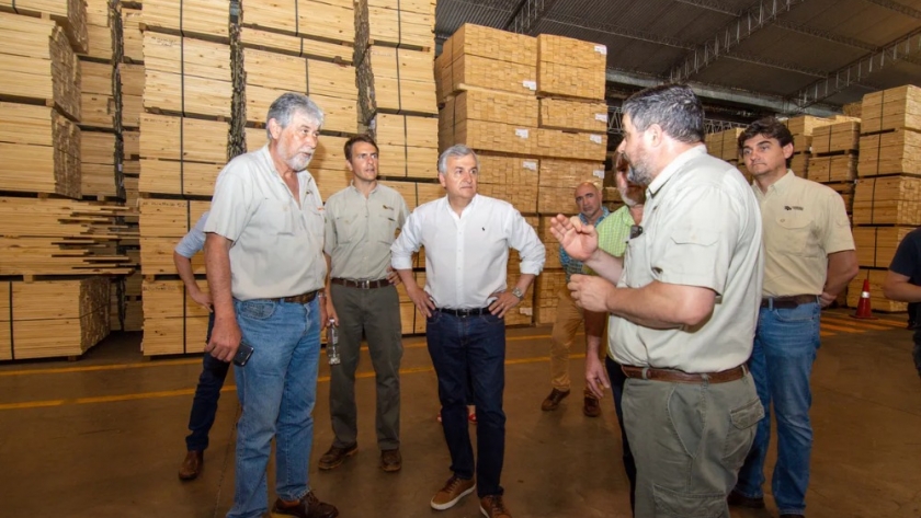 Morales construye puentes para acceder a experiencias de producción que dinamicen la foresto industria