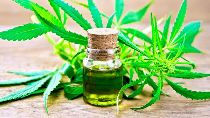 Jujuy presentó el plan de expansión de 600 hectáreas para la producción de derivados medicinales de cannabis