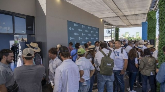 Banco Nación: récord de operaciones en financiamiento en Expoagro