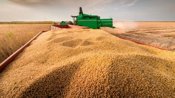 Granos como moneda: el sistema que permite comprar campos y propiedades mediante canje agrícola