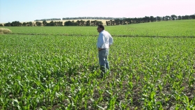 El clima para el próximo verano: ¿Argentina evitará el impacto de El Niño?