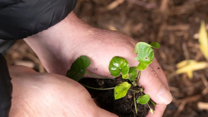 Por e Día Mundial de la Educación Ambiental se realizará un Encuentro Provincial de Intercambio de Experiencias