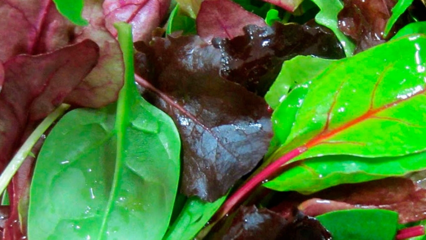Compost biofertilizante para verduras con más vitaminas y antioxidantes