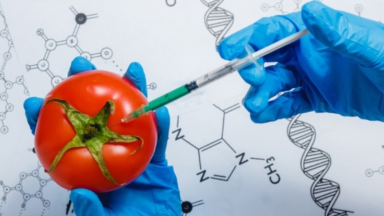 Los alimentos GMO: ¿una Solución o una preocupación?