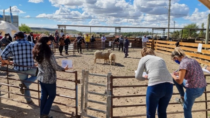 Se desarrolló en Zapala la Feria Integral de la Producción