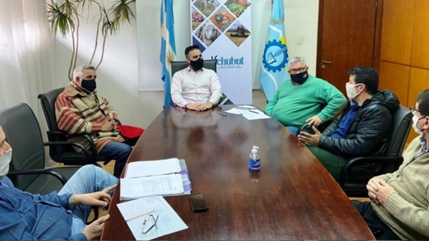 El Gobierno provincial trabaja junto a productores olivícolas en el crecimiento de la actividad