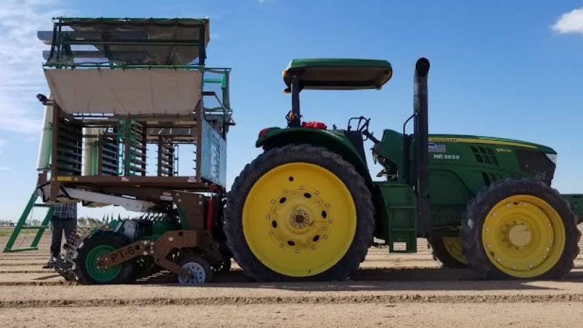 Productores de vegetales aumentan la velocidad de siembra más rápido de lo que pueden venderlo