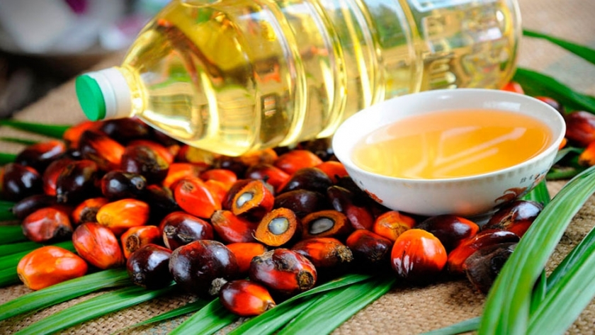 Mitos y verdades sobre el aceite de palma 