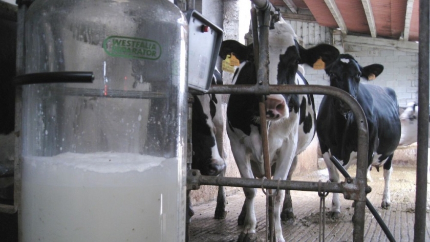 Suplemento de aceite de soja y linaza en dietas de vacas produce leche de alto valor nutricional