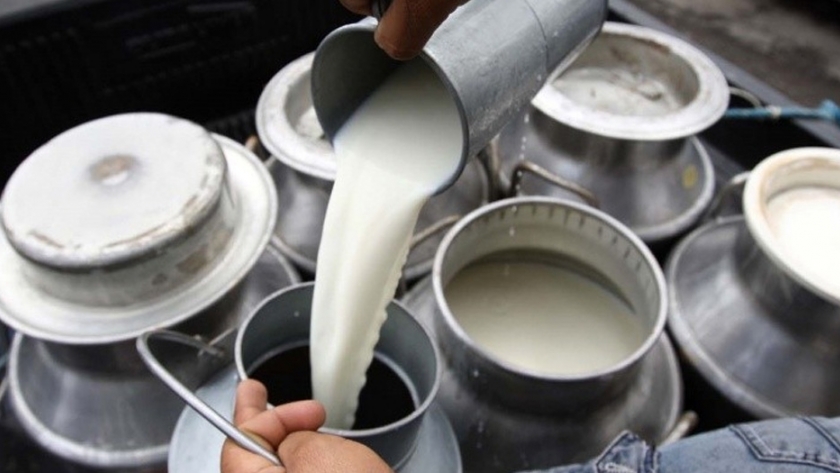 La India es el primer productor mundial de leche después de EEUU