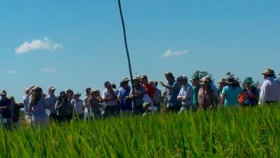Actualización en las normas de las Buenas Prácticas Agrícolas con alcance al sector arrocero de Corrientes